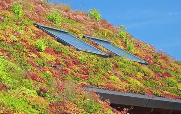 Wellstye Green living roof systems