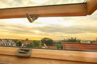 rated Wellstye Green roof window companies